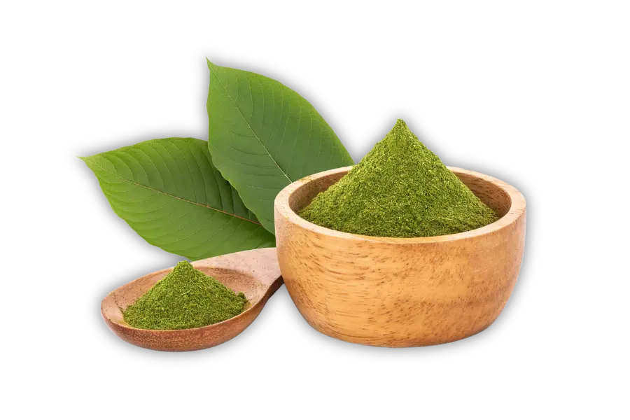 picture of a kratom powder and leaf