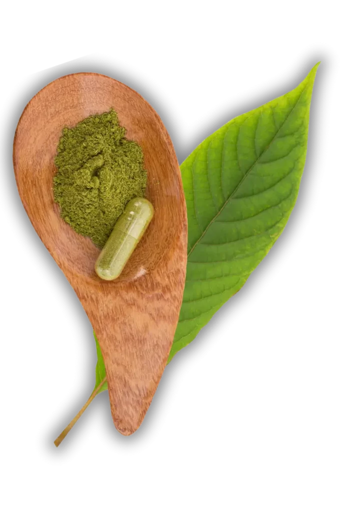 kratom in leaf, pill, and powder form